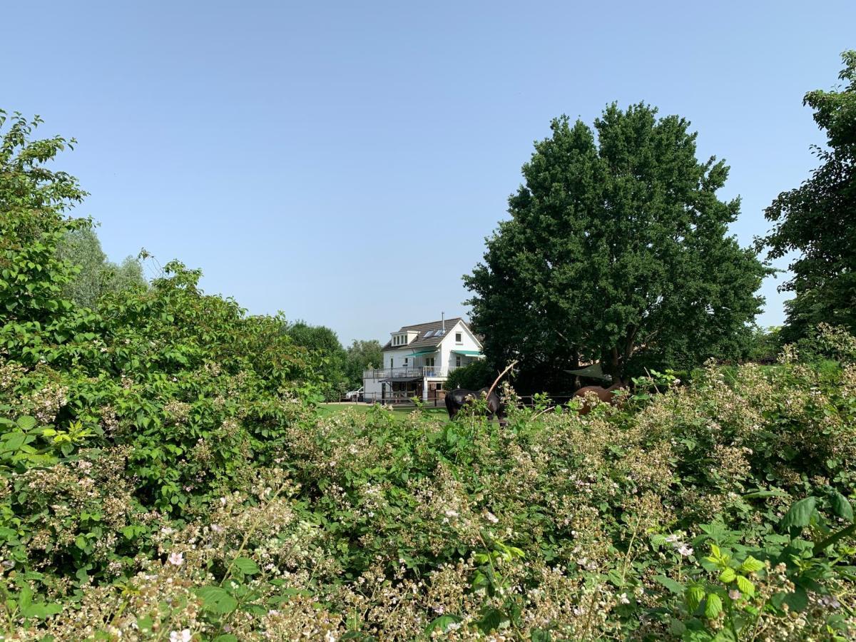 Luxury Guest House - Eik Aan De Dijk Aalst Exteriör bild